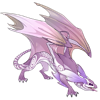 Unnamed dragon