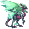 Unnamed dragon