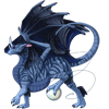 Unnamed dragon