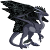 Unnamed dragon