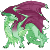 Unnamed dragon