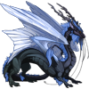 Unnamed dragon