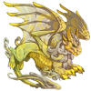 Unnamed dragon