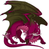 Unnamed dragon