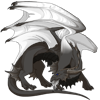 Unnamed dragon