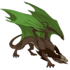 Unnamed dragon