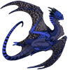 Unnamed dragon