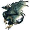 Unnamed dragon