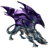 Unnamed dragon