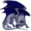 Unnamed dragon