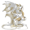 Unnamed dragon