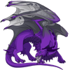 Unnamed dragon