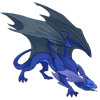 Unnamed dragon