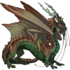 Unnamed dragon