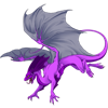 Unnamed dragon