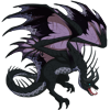 Unnamed dragon