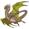 Unnamed dragon