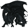 Unnamed dragon