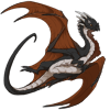 Unnamed dragon