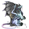 Unnamed dragon