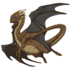 Unnamed dragon