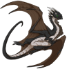 Unnamed dragon