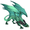 Unnamed dragon