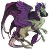 Unnamed dragon