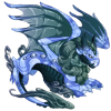 Unnamed dragon