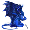 Unnamed dragon