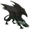 Unnamed dragon