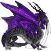 Unnamed dragon