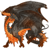 Unnamed dragon