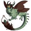 Unnamed dragon