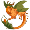 Unnamed dragon