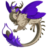 Unnamed dragon