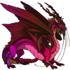 Unnamed dragon