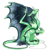 Unnamed dragon