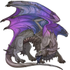 Unnamed dragon