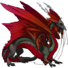 Unnamed dragon