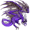 Unnamed dragon