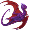 Unnamed dragon