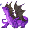 Unnamed dragon