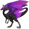 Unnamed dragon