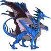 Unnamed dragon