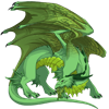 Unnamed dragon