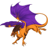 Unnamed dragon