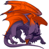 Unnamed dragon