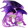 Unnamed dragon