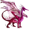 Unnamed dragon